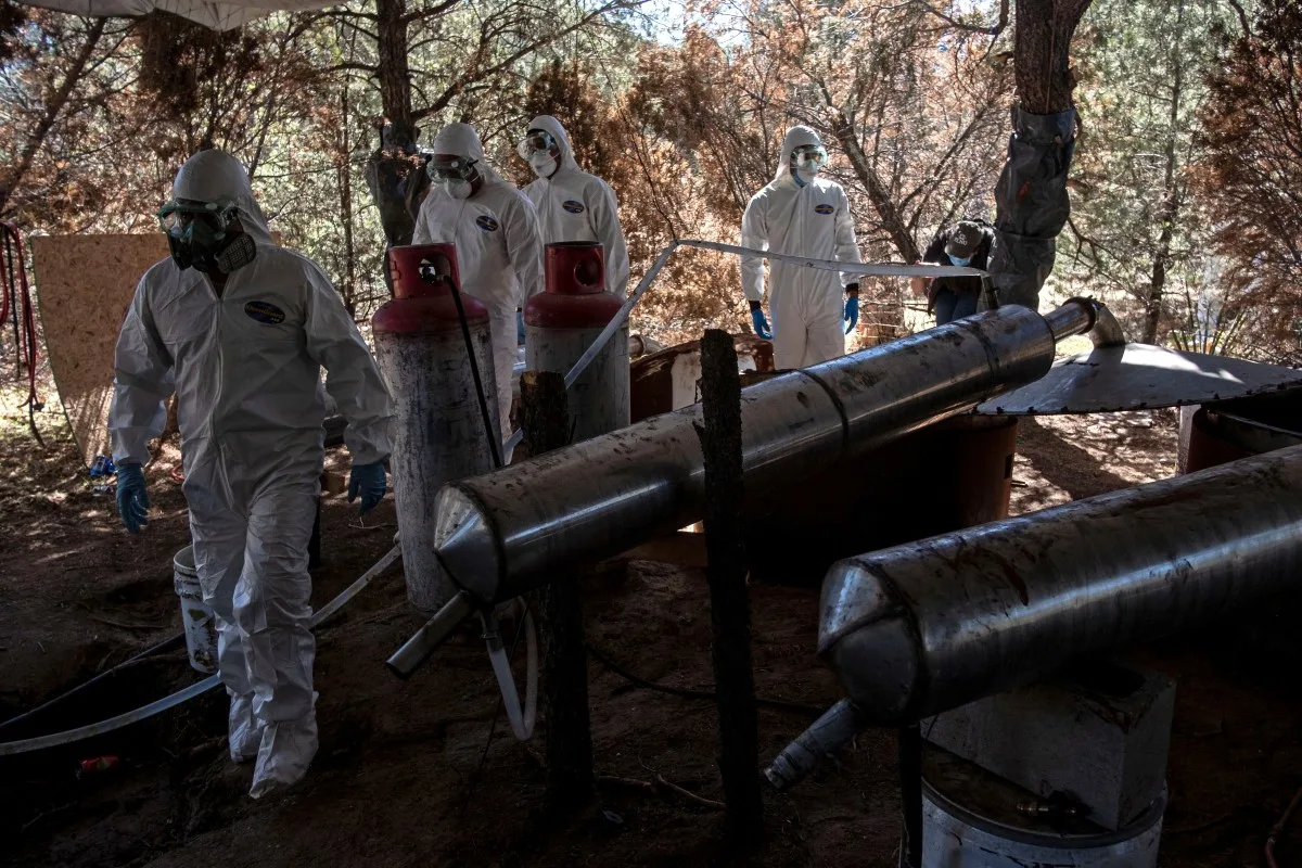 Laboratórios na África conectam cartel de Sinaloa a mercados da Oceania
