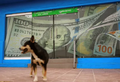 Dólar avança a R$ 5,1114 com tensão externa e disputa no STF