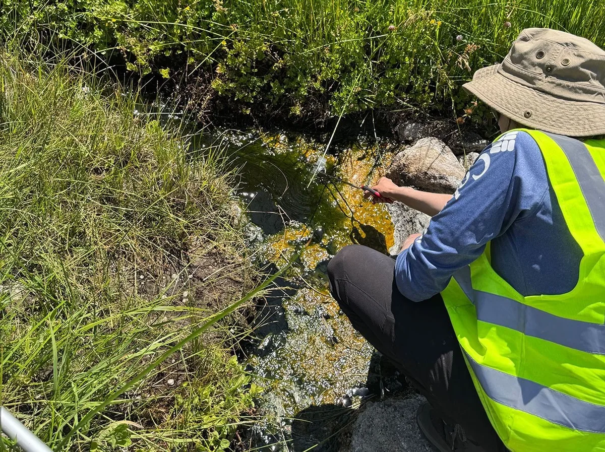 Ameba da Califórnia revela resistência inédita ao calor em células complexas