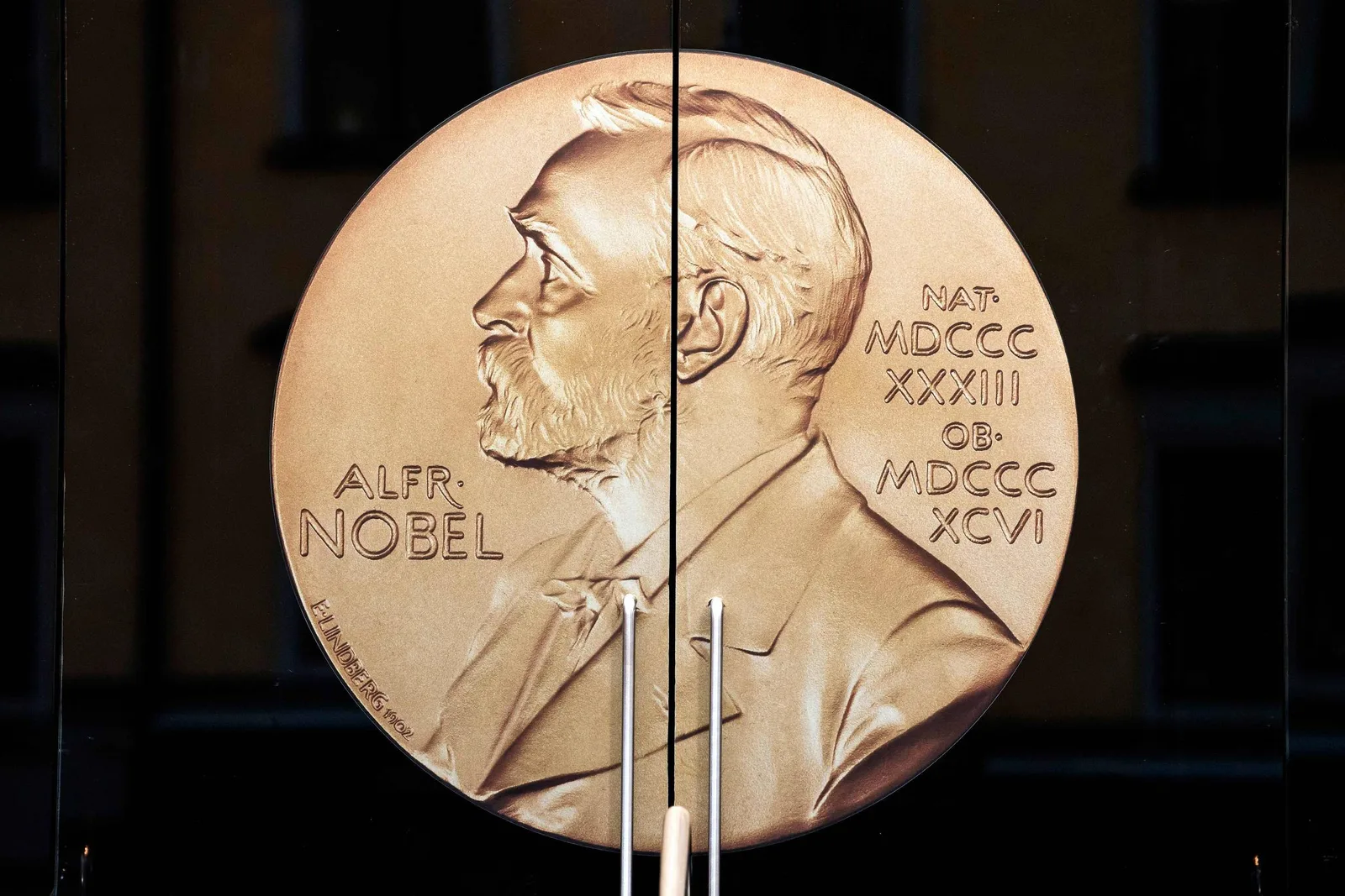 Chatbots apontam favoritos ao Nobel de 2026, mas erram em categorias e candidatos