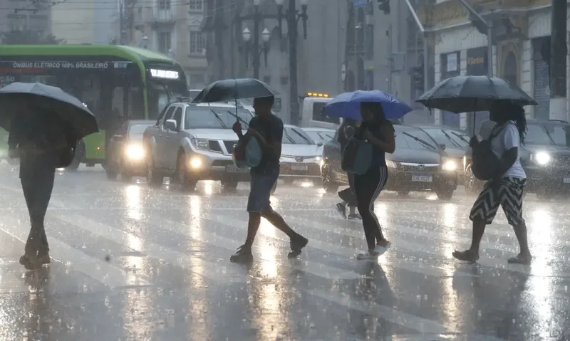 Temporal interrompe energia para 31.876 clientes e derruba árvores em São Paulo