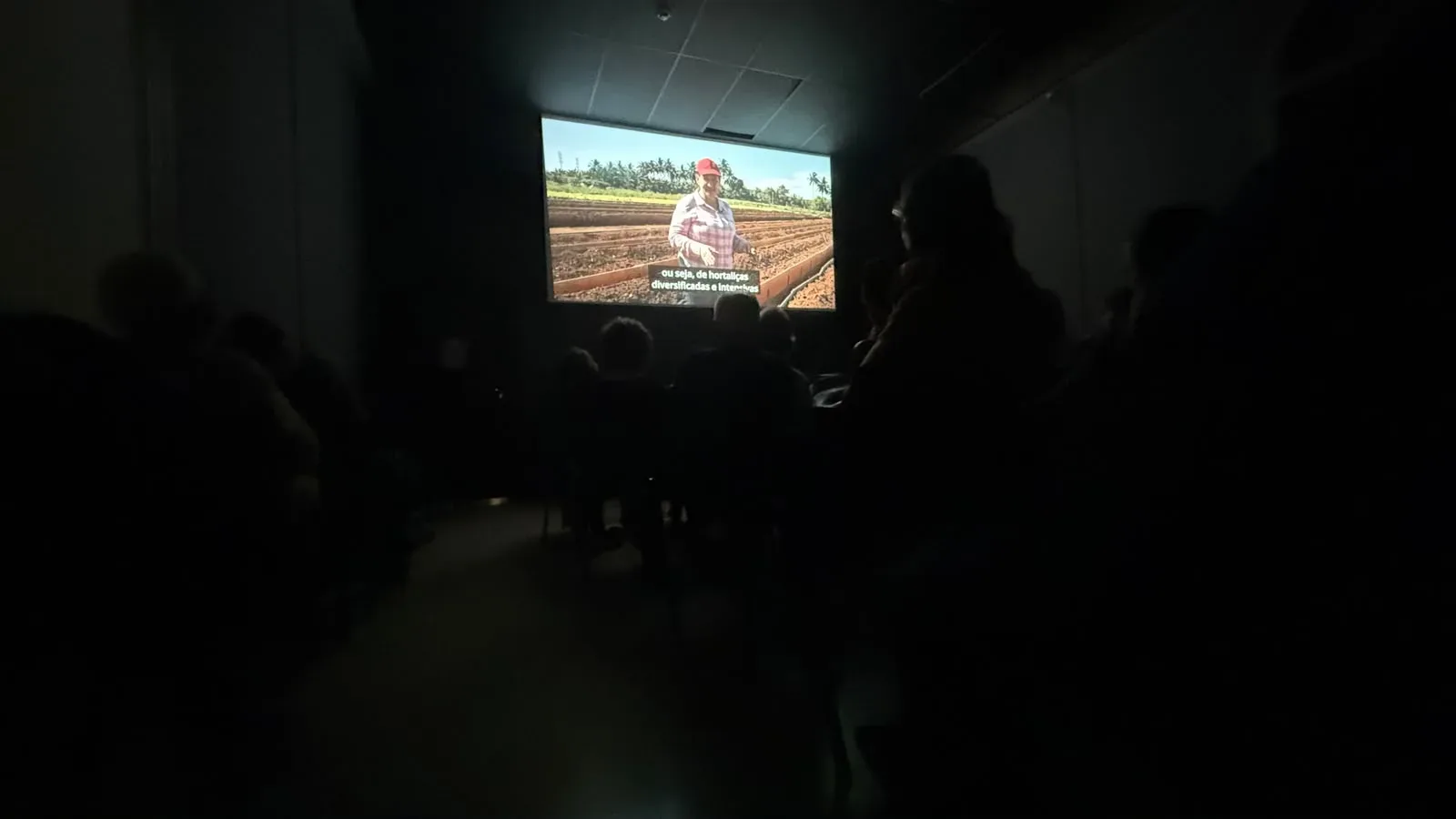 Sessão sobre Cuba amplia debate sobre cinema independente no Rio