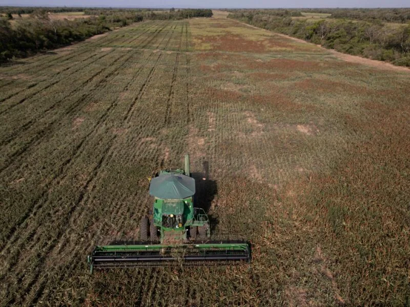 BC vê risco de menor produtividade agrícola em 2027 com possível El Niño