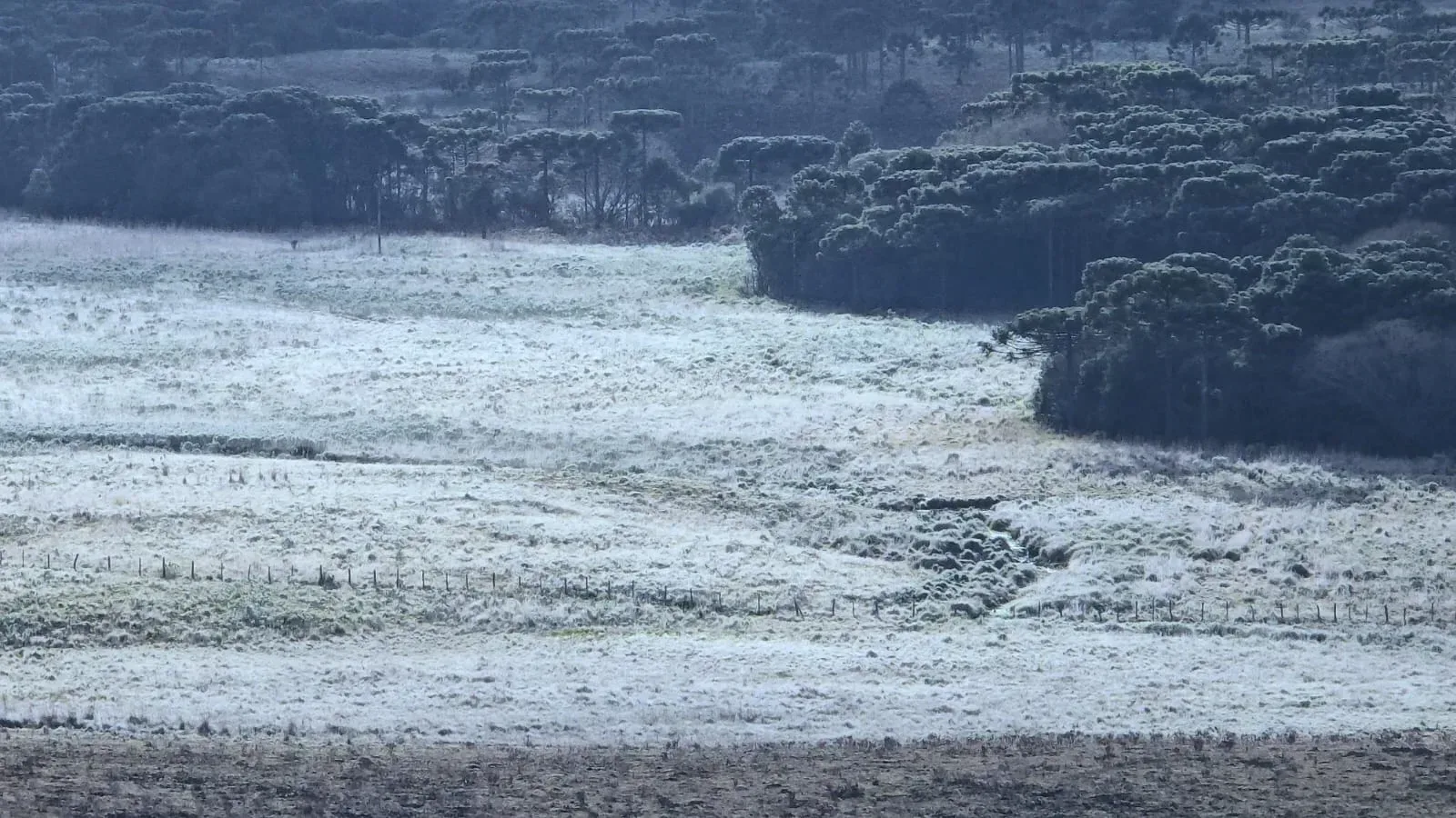São Joaquim registra menor temperatura de 7 de Setembro desde 1955