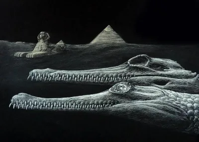 Fóssil egípcio revela nova espécie de crocodilo com 45 milhões de anos