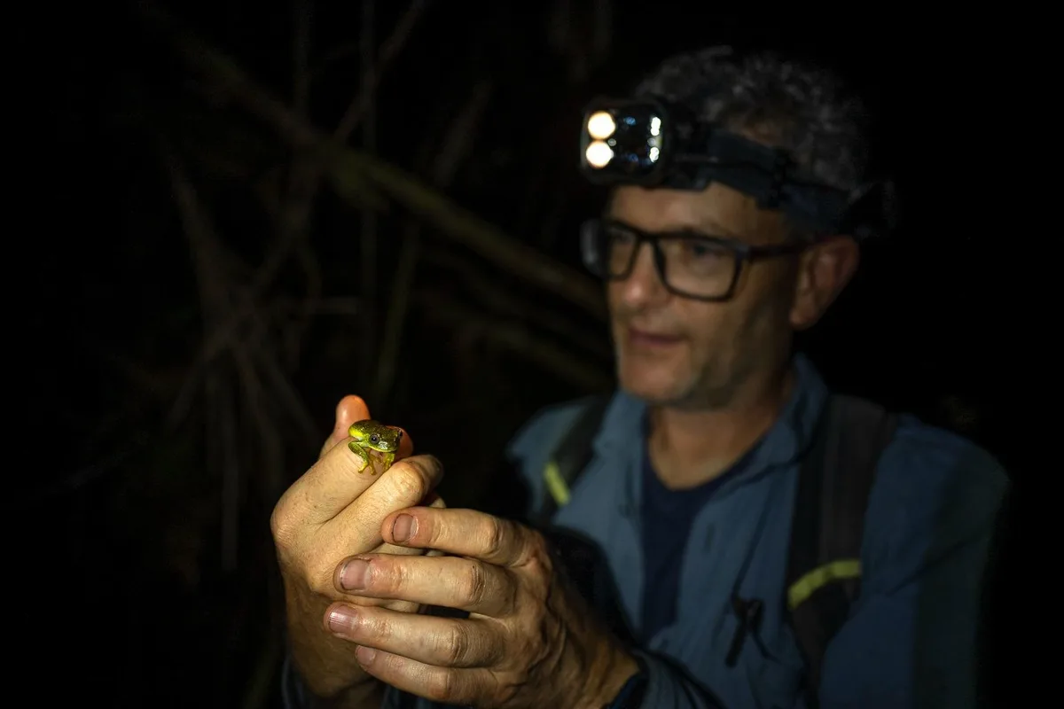 Expedição na Serra do Aracá revela espécies e rotinas guiadas pela floresta