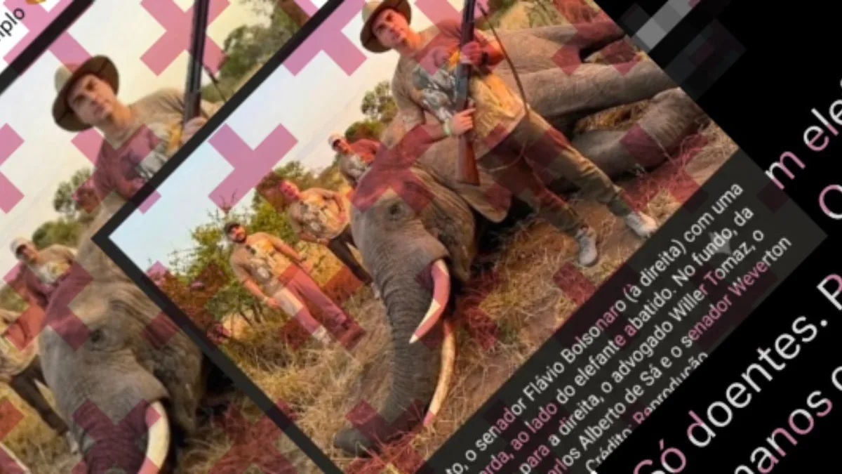 Imagem que associa Flávio Bolsonaro a elefante morto foi criada com IA