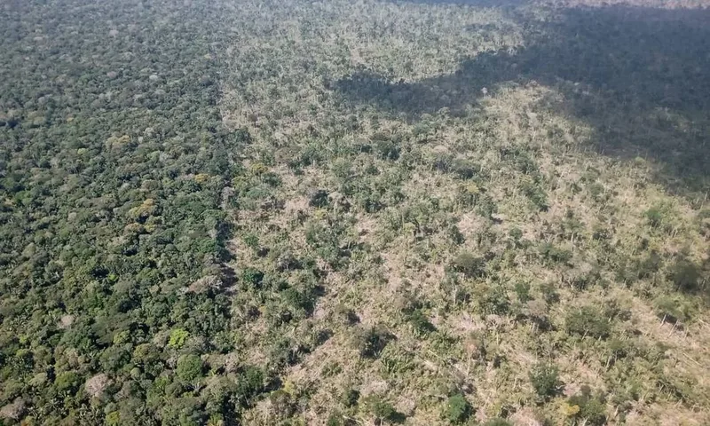 Doador de Tarcísio mantém vínculos familiares com áreas sobrepostas à TI Piripkura