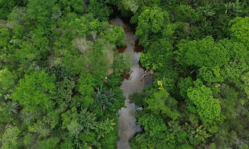 Desmatamento na Amazônia é associado à redução de chuvas no Rio Grande do Sul