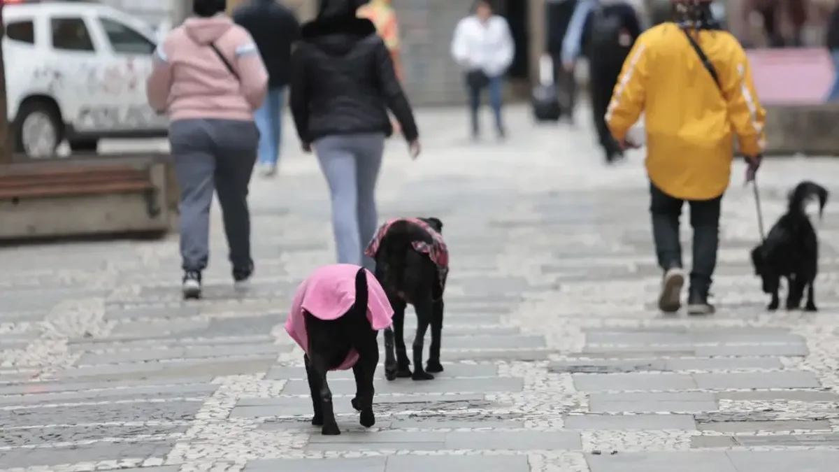 Massa polar mantém frio no Sul e derruba máxima em São Paulo