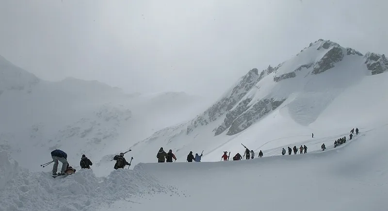 Whistler pode desaparecer em dez anos após perder 95% de sua área