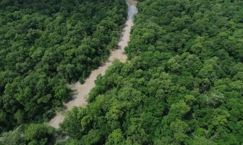 Campanha relaciona Dia da Amazônia a escolhas nas eleições gerais
