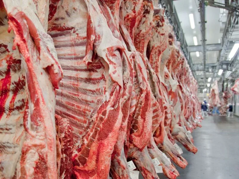 UE suspende compras de carnes e produtos animais do Brasil