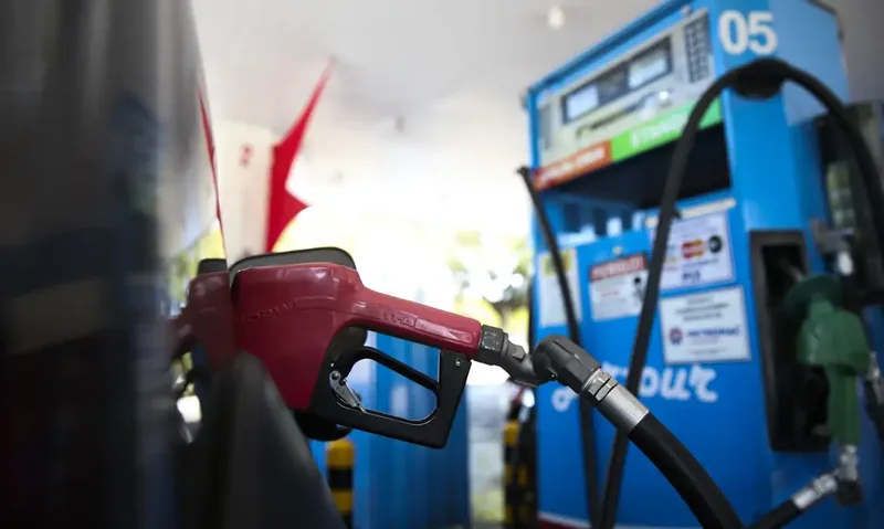 Opep mantém projeções para produção de líquidos e PIB do Brasil