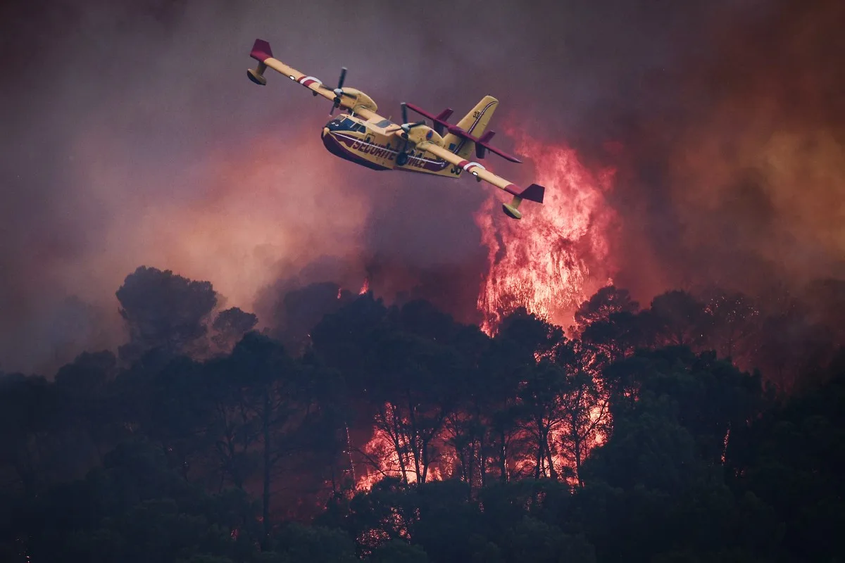 França registra maior área florestal queimada desde 1976