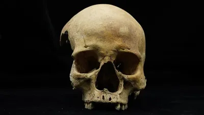 Crânio de mulher enterrada de bruços revela possível punição na China medieval