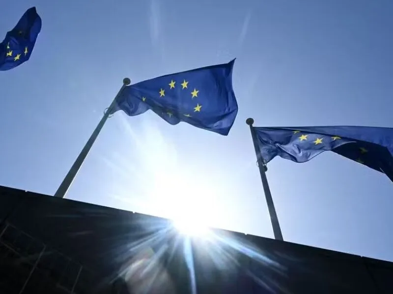 Avaliação europeia considera adequados sistemas brasileiros de aves e mel
