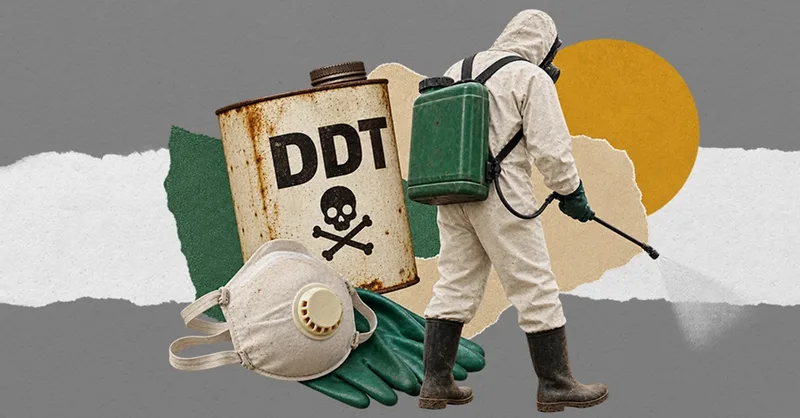 STJ define provas para indenização de servidores expostos ao DDT