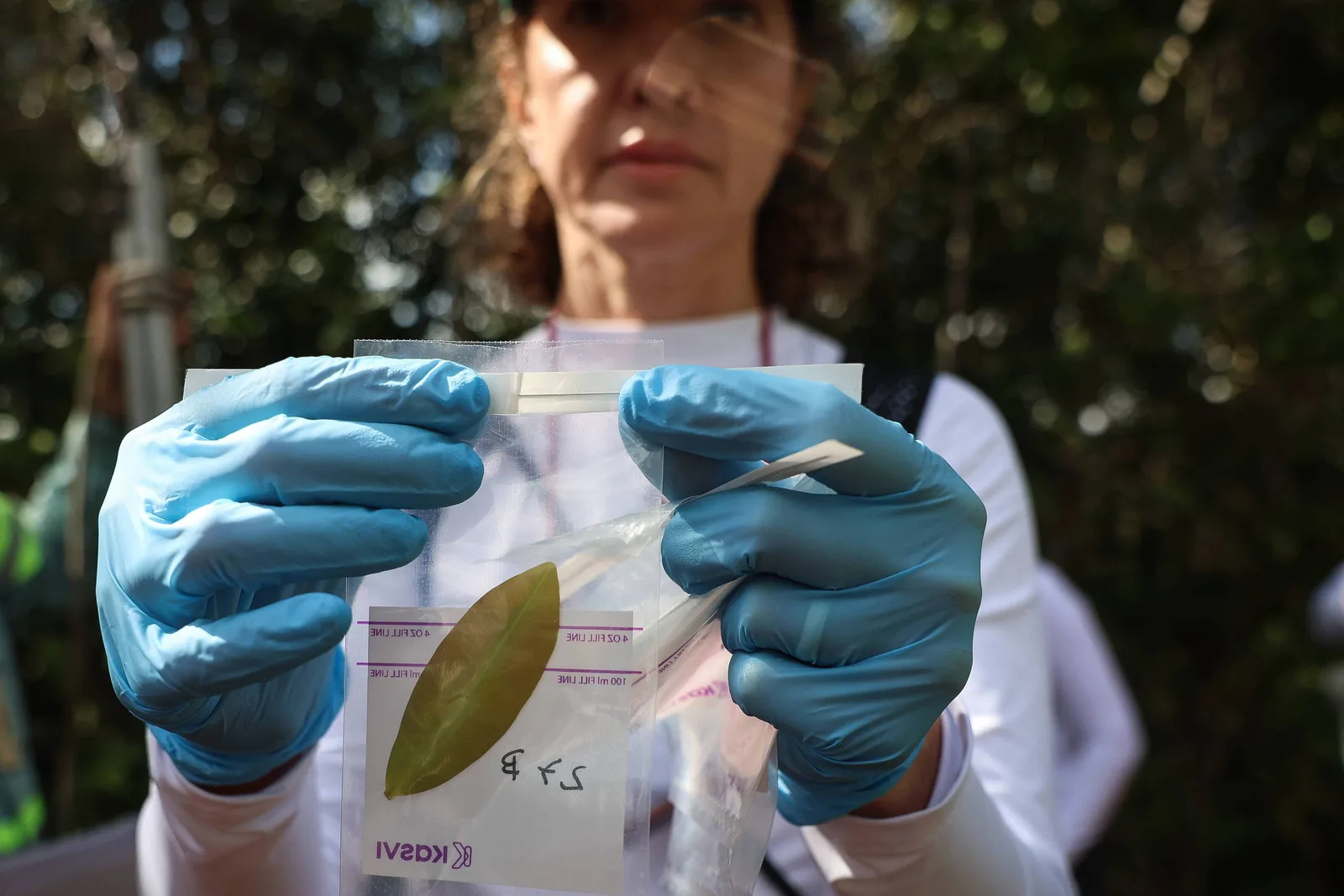 Expedição coleta microrganismos da mata atlântica para pesquisas industriais