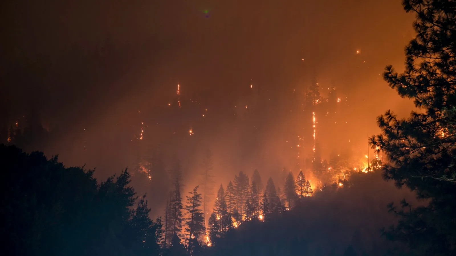 Risco de incêndios pode consumir até 6,5 anos da vida de crianças em Portugal