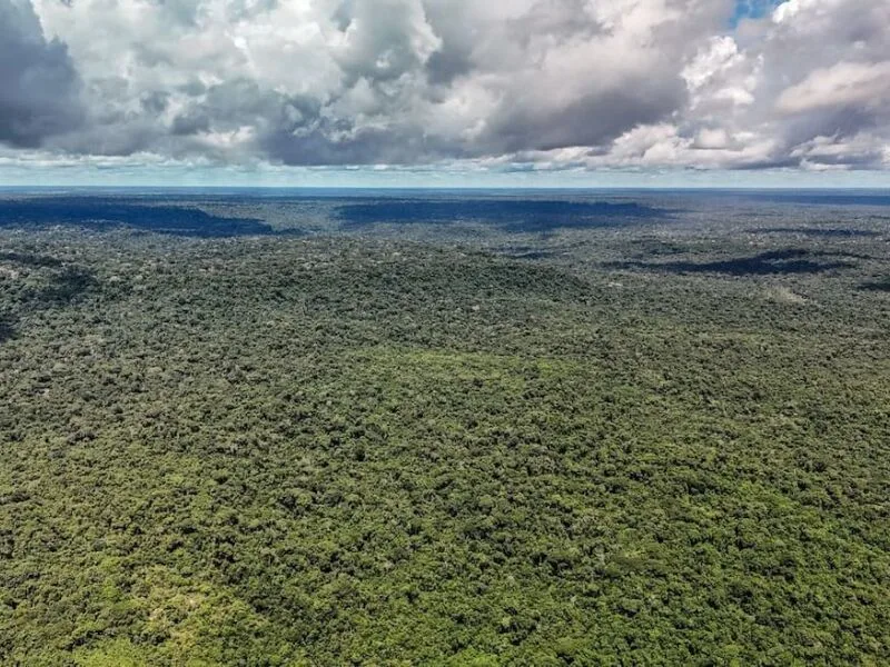 Brasil poderá captar US$ 1 bilhão do BID para programa de transição ecológica
