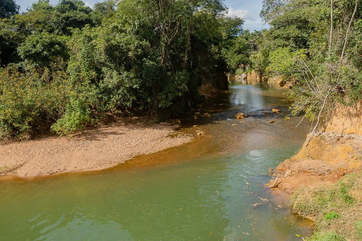Meio ambiente reúne propostas distintas dos dez candidatos ao GDF
