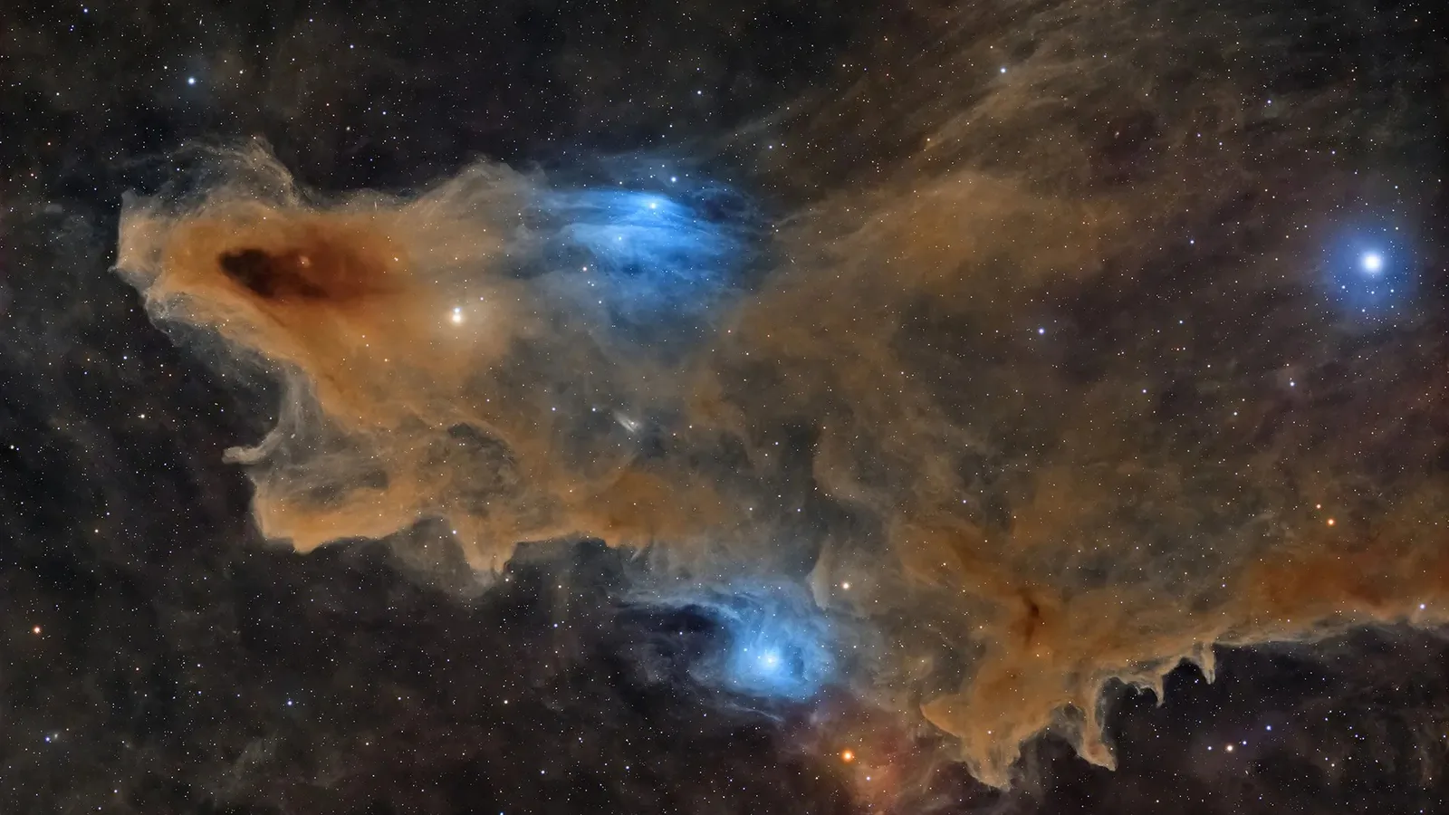 Nebulosa em forma de tubarão vence concurso de fotografia astronômica