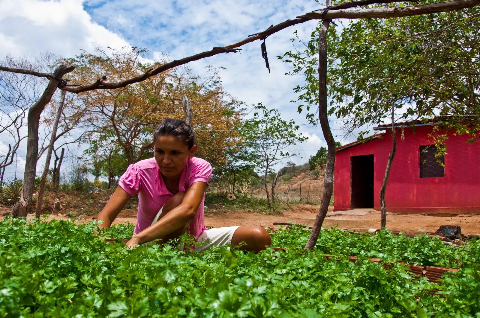 Cisternas ampliam segurança hídrica no semiárido, enquanto mineração pressiona comunidades