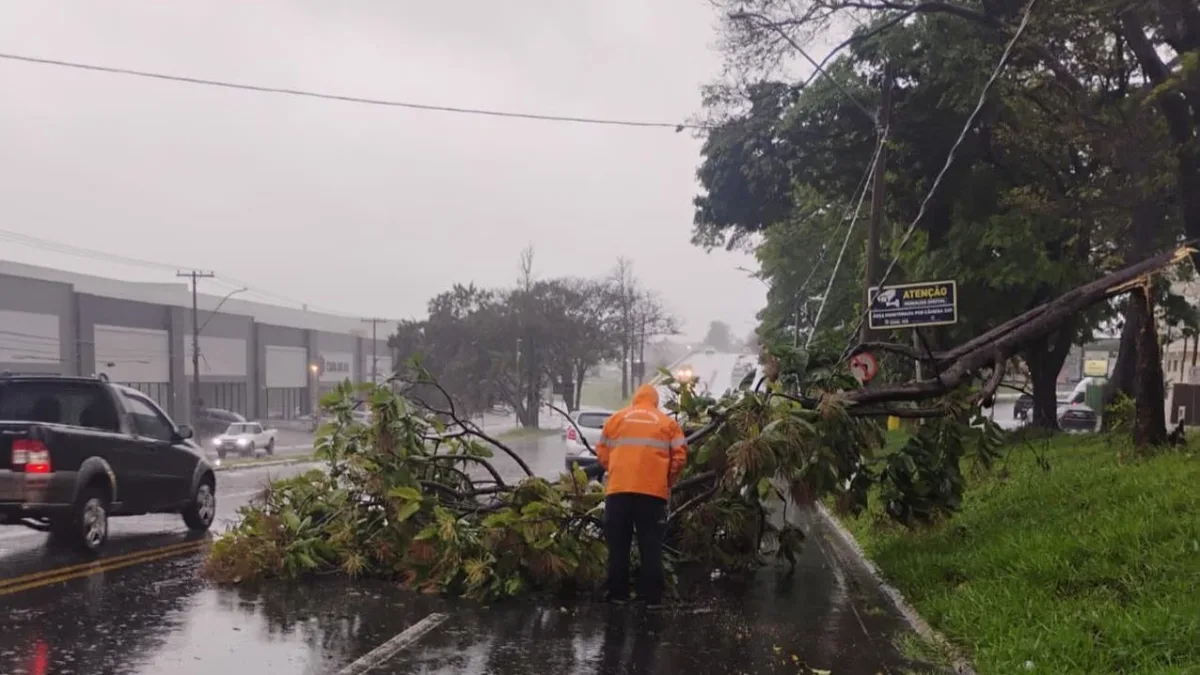 São Paulo terá tempestades, raios e granizo até sábado