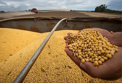 Valor da produção agrícola brasileira chega a R$ 927,2 bilhões em 2025