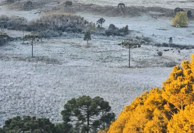 São José dos Ausentes registra -6,8ºC, menor marca do ano no RS