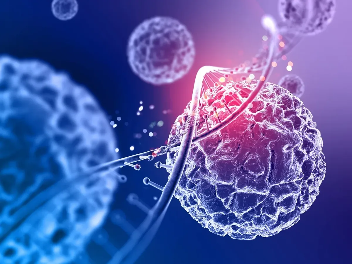 Hiperglicemia pode reforçar barreira que protege células cancerígenas