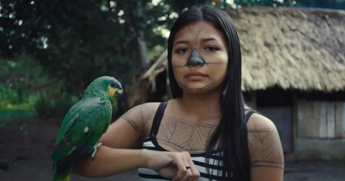 Filmambiente reúne 60 produções sobre clima, justiça social e disputas ambientais