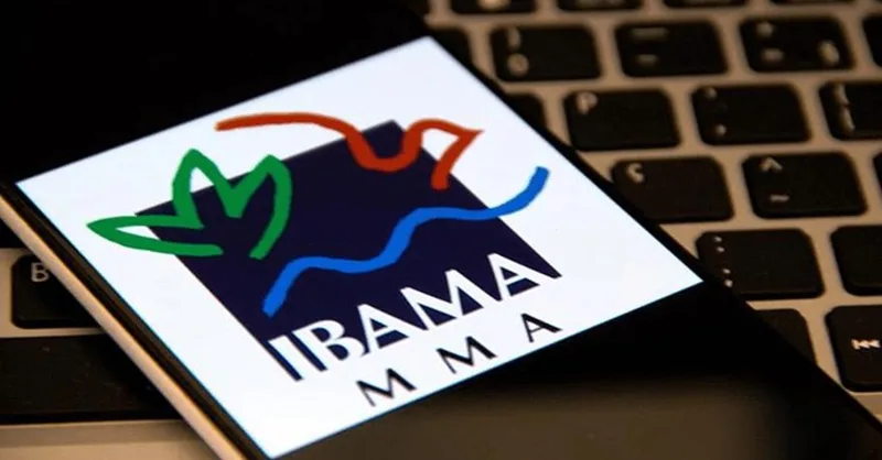 STJ exige formalização para restrição do sistema de documentos florestais pelo Ibama