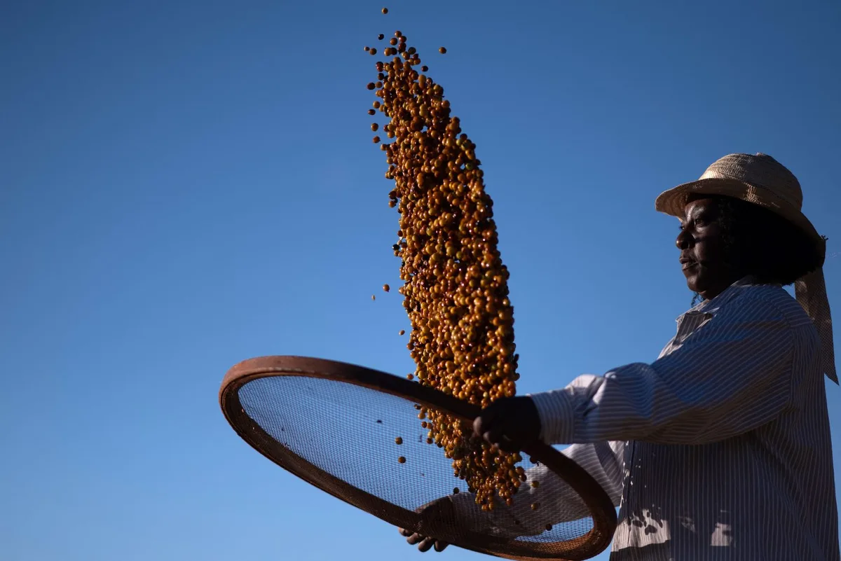 FAO aponta alta dos alimentos em setembro, puxada por açúcar e cereais