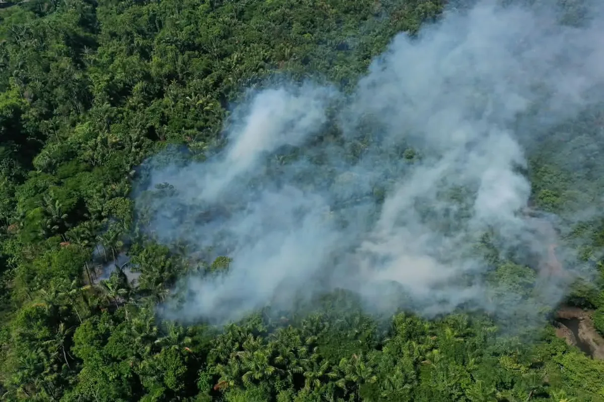 Manaus tem picos de poluição dez vezes acima do limite da OMS