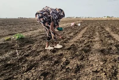 CAF oferece até US$ 1 bilhão para países atingidos pelo El Niño